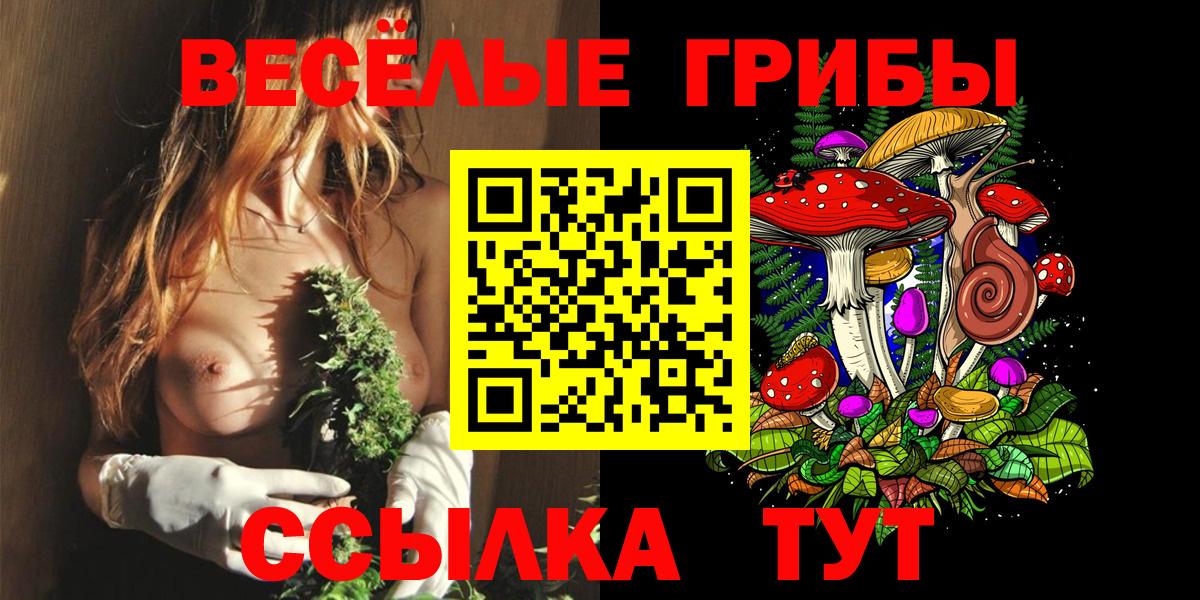 Арзамас  Псилоцибиновые грибы MAGIC MUSHROOMS  купить наркотик  Вход с VPN 